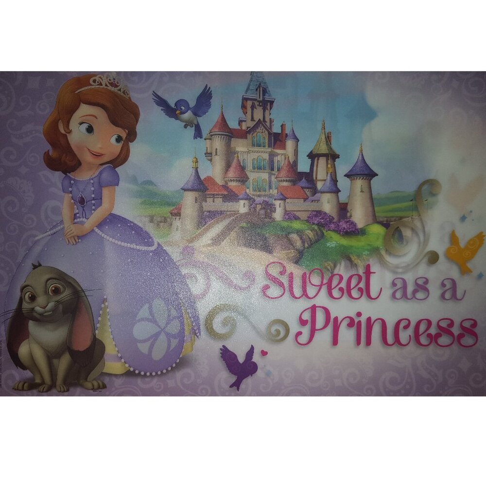 Sophia the First Kids Placemat Set